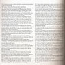 A rabbit that escapes interview with liliana porter  an %281%29
